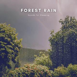 Forest Rain Sounds for Sleeping