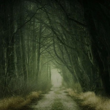 Walking through the dark forest | Boomplay Music
