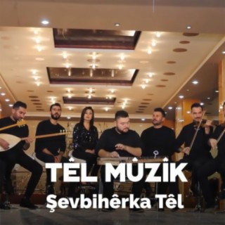 Têl Muzik - Şevbihêrka Têl