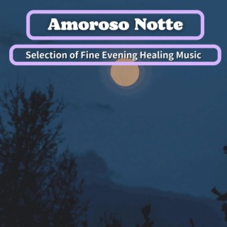 Selection of Fine Evening Healing Music