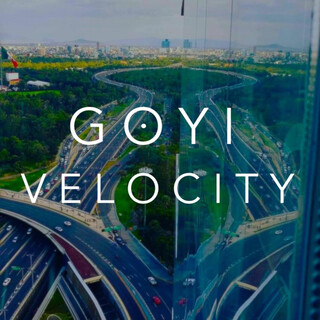 Velocity