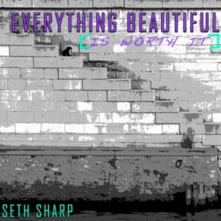 Everything Beautiful (Is Worth It)