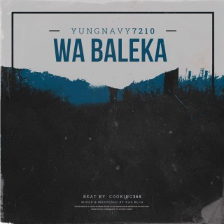 Wa Baleka lyrics | Boomplay Music