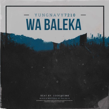 Wa Baleka | Boomplay Music