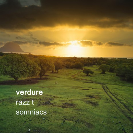 Verdure ft. Somniacs | Boomplay Music