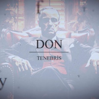 DON lyrics | Boomplay Music