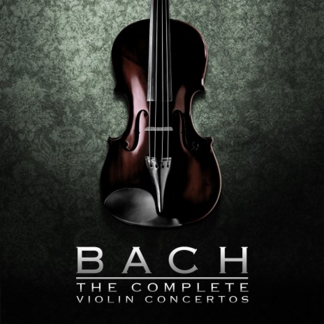 Concerto in G Minor for Violin and Strings, BWV 1056R: II. Arioso: Largo ft. Emmy Verhey & Camerata Antonio Lucio | Boomplay Music