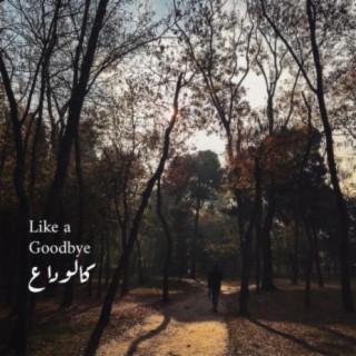 Like A Goodbye | Boomplay Music