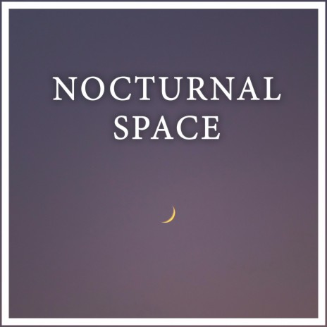 Nocturnal Space | Boomplay Music