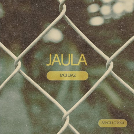 JAULA | Boomplay Music