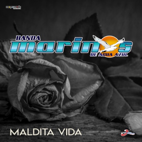Maldita Vida | Boomplay Music