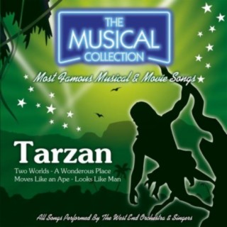 Tarzan (The Musical Collection)