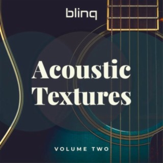Acoustic Textures, Vol. 2