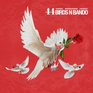 44 Birds n Bando