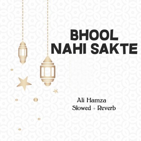 Bhool Nahi Sakte Lofi | Boomplay Music