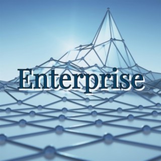 Enterprise