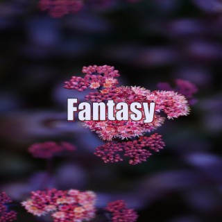 Fantasy