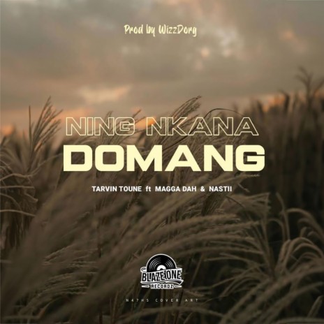 Ning Nkana Domang ft. Magga Dahx & Nasti | Boomplay Music