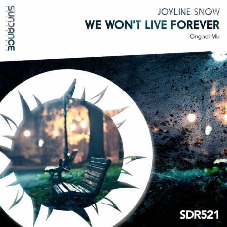 We Won't Live Forever | Boomplay Music