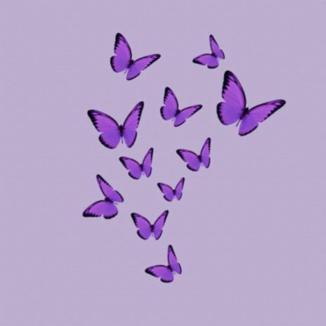 Butterflies | Boomplay Music