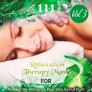 111 Tracks Vol. 3: Over Five Hours Relaxation Therapy Music for Massage, Spa, Meditation, Reiki, Yoga, Sleep and Study, Zen New Age & Healing Nature Sounds