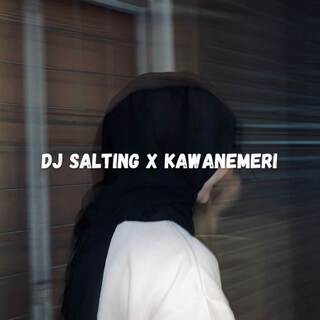 DJ Salting x Kawanemeri