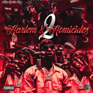 Harlem & Homicides 2