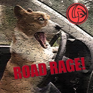 Road Rage