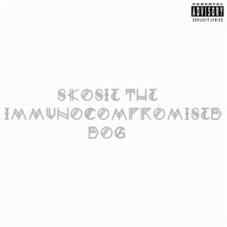 Skosie The Immunocompromised Dog