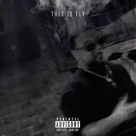 THIS IS FLY | Boomplay Music