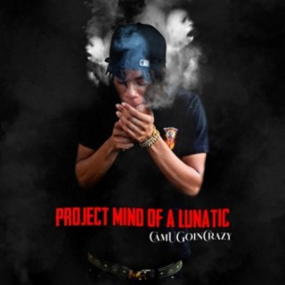 Project Mind Of A Lunatic
