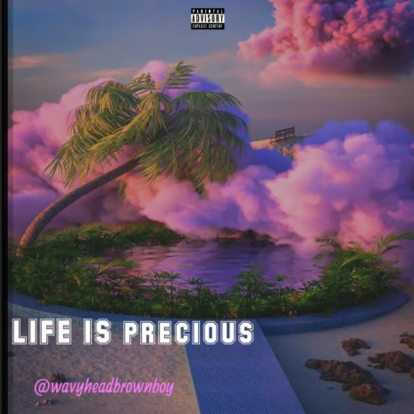 Life is Precious | Boomplay Music