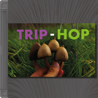 Trip-Hop