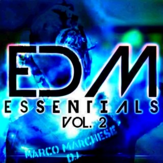 edm essentials my songs compilation vol2