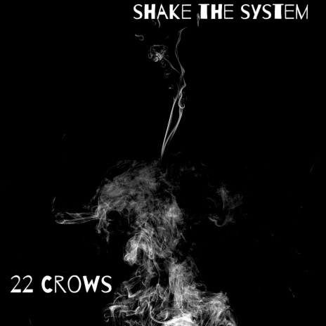 Shake the System | Boomplay Music