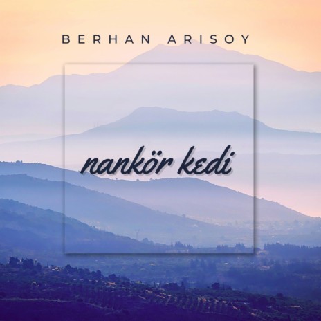 Nankör Kedi | Boomplay Music