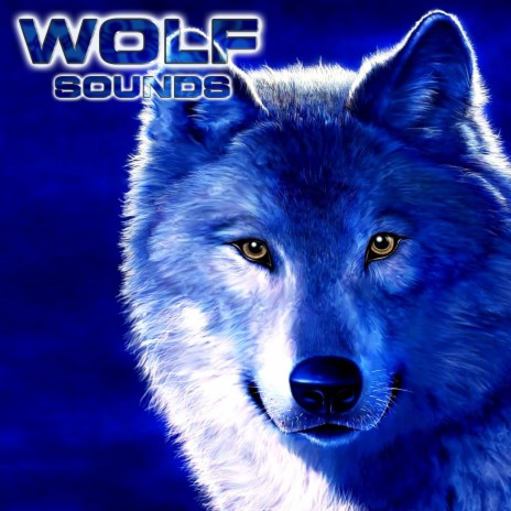 Wolf Sounds (feat. National Geographic Nature Sounds, National Geographic Soundscapes, Relaxing Nature Sound, Soothing Sounds & White Noise Ambience) | Boomplay Music