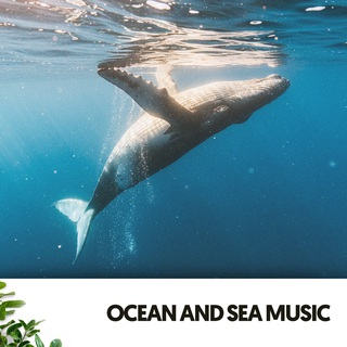 Ocean and Sea Music: Melodies of the Deep Blue