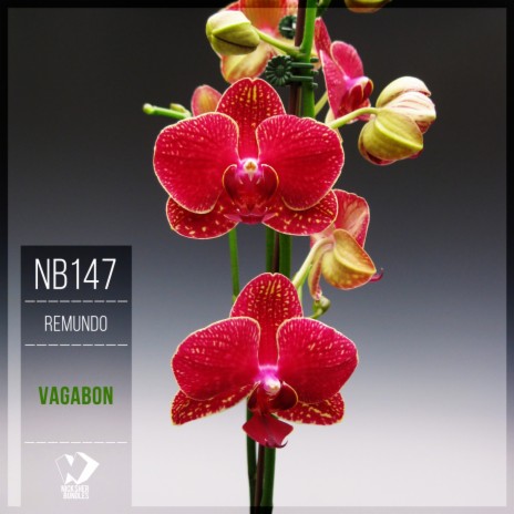 Vagabon (Original Mix) | Boomplay Music