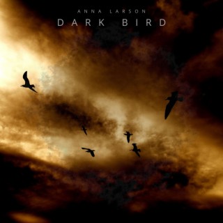 Dark Bird