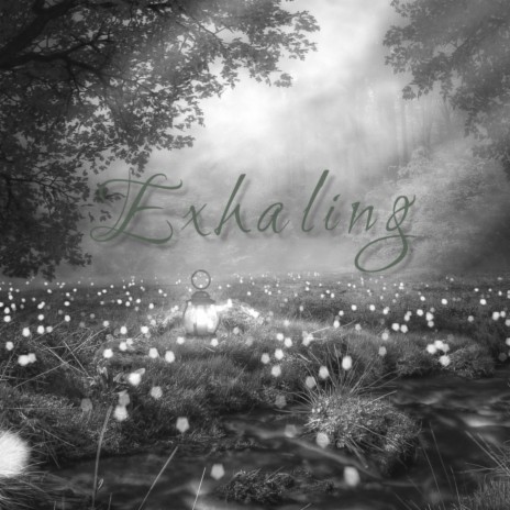 Exhaling | Boomplay Music