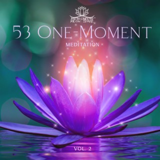 53 One-Moment Meditation: Vol. 2, Clarity, Stability and Presence, Meditative in a Moment, Mindfulness = Superpower, Daily Calm, Be Present, Headspace & Breathing