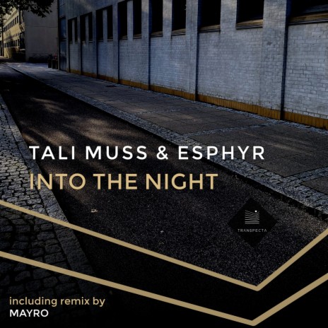 Into the Night (Mayro Remix) ft. Esphyr | Boomplay Music