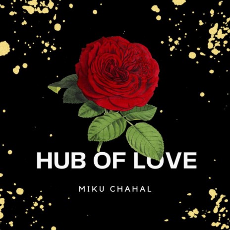 Hub of Love | Boomplay Music