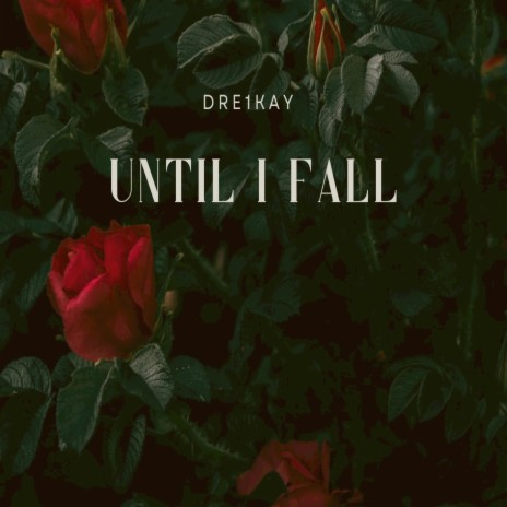 Until I Fall | Boomplay Music