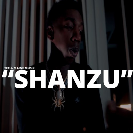 Shanzu | Boomplay Music