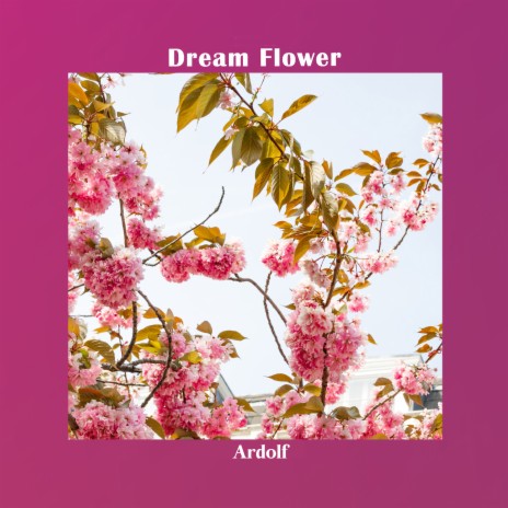 Dream Flower | Boomplay Music