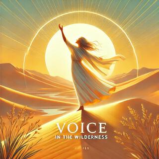 A Voice In The Wilderness lyrics | Boomplay Music