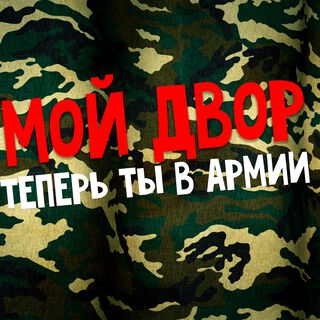 Теперь ты в армии