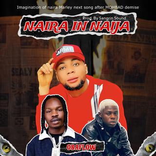 Naira In Naija (Cruise) lyrics | Boomplay Music